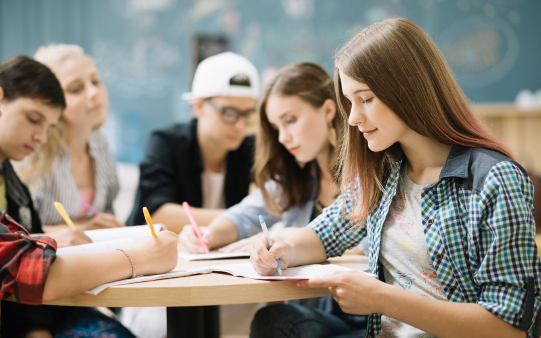 Les cours par branche à l’Institut-Domi