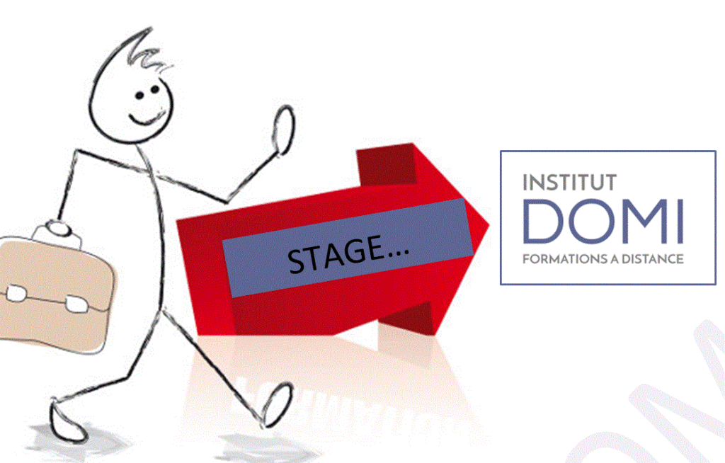 L’INSTITUT-DOMI accueille des stagiaires